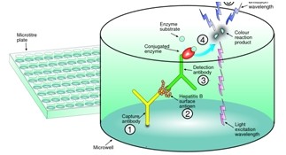 時間分辨熒光微孔板超敏檢測技術(shù)